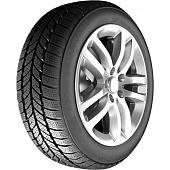 RoadX RXFrost WH01 245/70 R16 107T